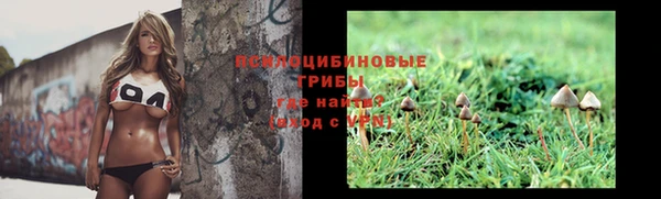 соль курить ск Богородск