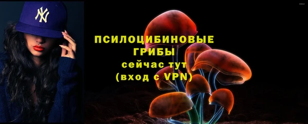 соль курить ск Богородск