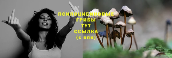 соль курить ск Богородск