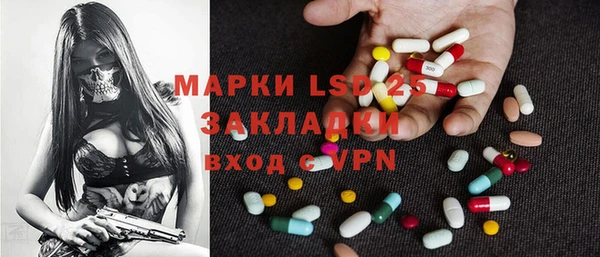 молекула духа Богородицк