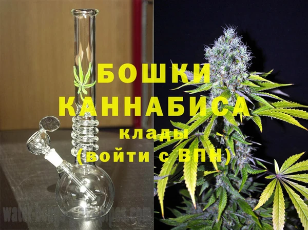 молекула духа Богородицк