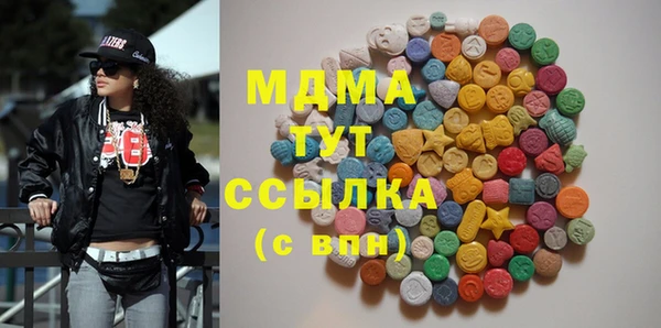 молекула духа Богородицк