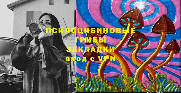 молекула духа Богородицк