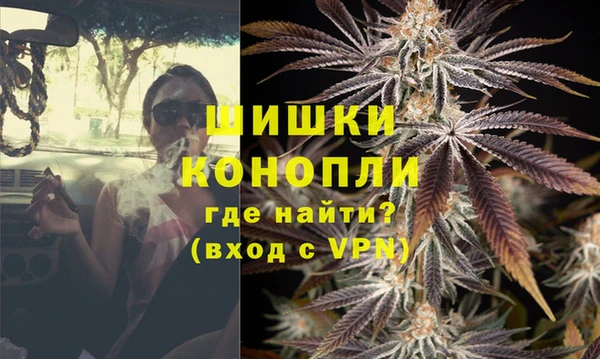 молекула духа Богородицк